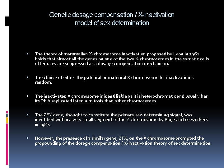 Genetic dosage compensation / X-inactivation model of sex determination The theory of mammalian X-chromosome