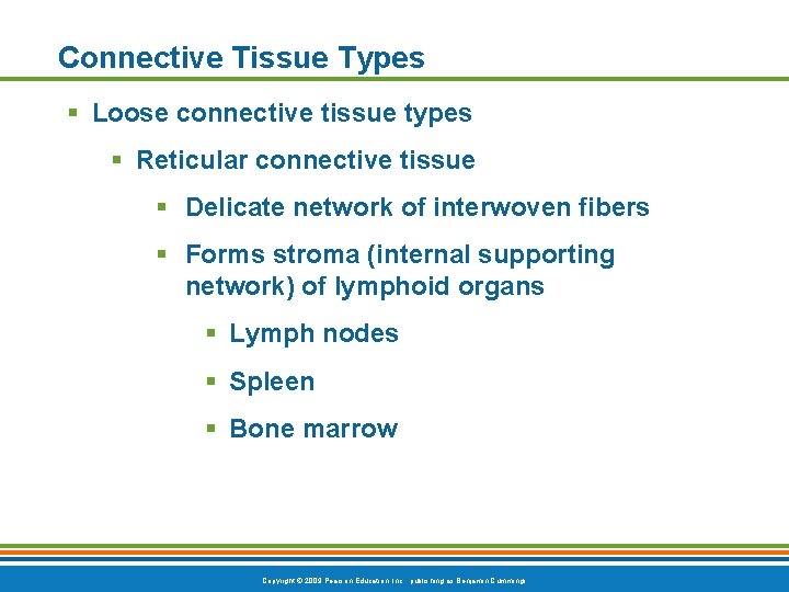 Connective Tissue Types § Loose connective tissue types § Reticular connective tissue § Delicate