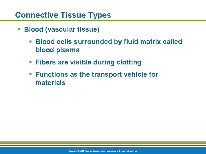 Connective Tissue Types § Blood (vascular tissue) § Blood cells surrounded by fluid matrix