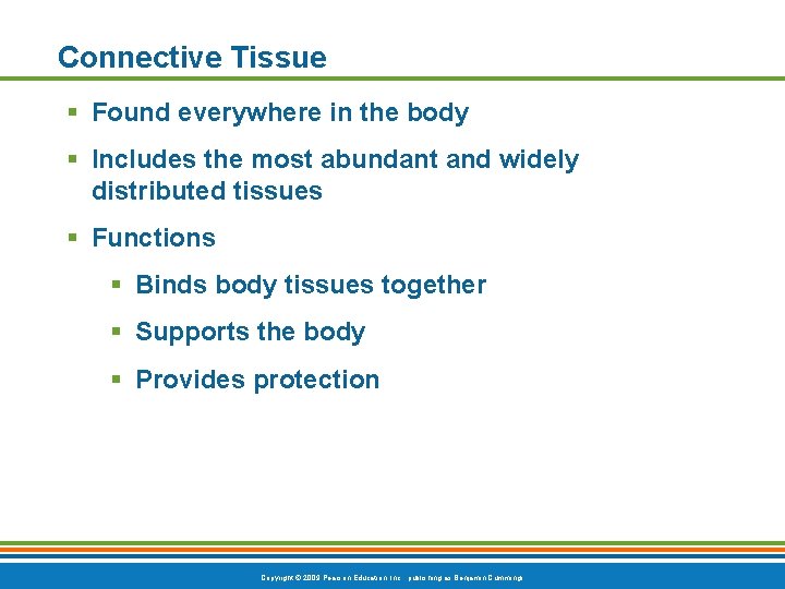 Connective Tissue § Found everywhere in the body § Includes the most abundant and