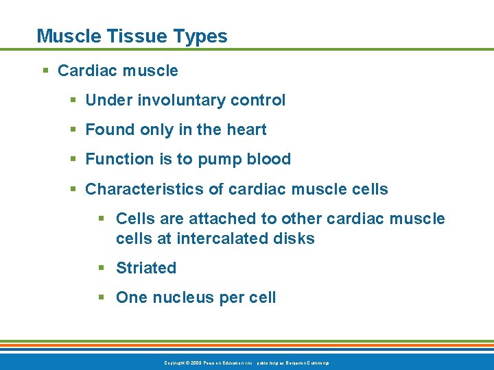 Muscle Tissue Types § Cardiac muscle § Under involuntary control § Found only in