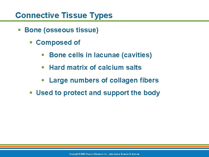 Connective Tissue Types § Bone (osseous tissue) § Composed of § Bone cells in