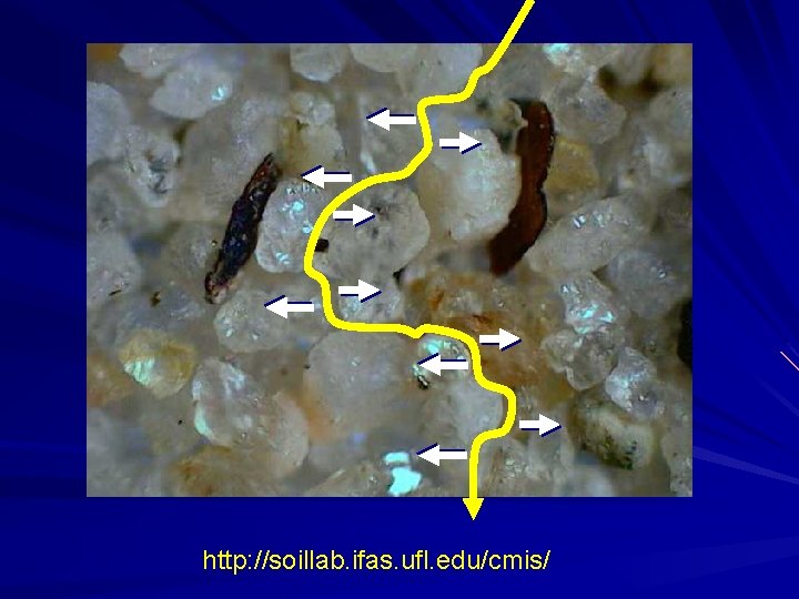http: //soillab. ifas. ufl. edu/cmis/ 