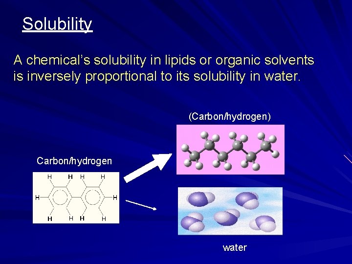 Solubility A chemical’s solubility in lipids or organic solvents is inversely proportional to its
