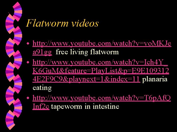 Flatworm videos http: //www. youtube. com/watch? v=vo. MKJe a 91 gg free living flatworm
