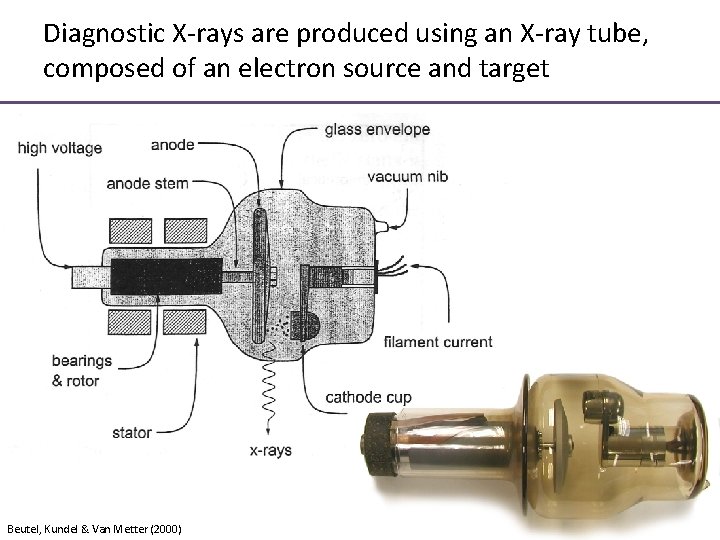 Diagnostic X-rays are produced using an X-ray tube, composed of an electron source and