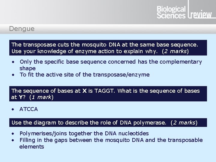 Dengue The transposase cuts the mosquito DNA at the same base sequence. Use your