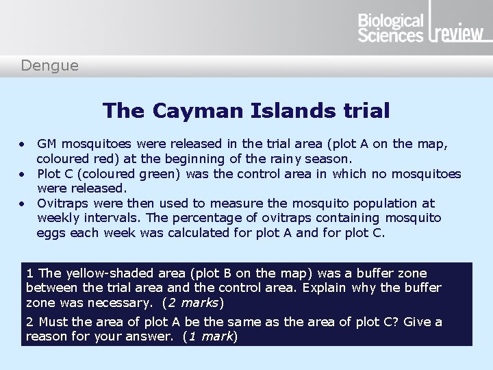 Dengue The Cayman Islands trial • GM mosquitoes were released in the trial area