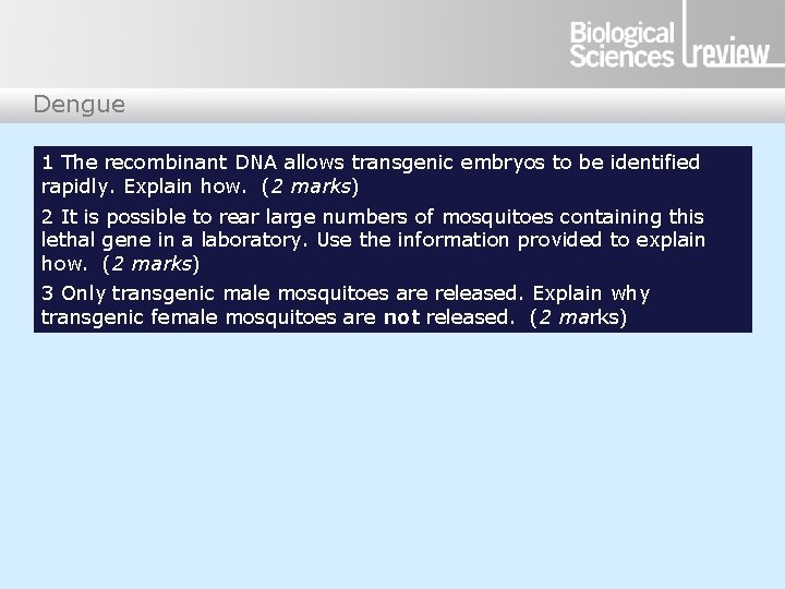 Dengue 1 The recombinant DNA allows transgenic embryos to be identified rapidly. Explain how.