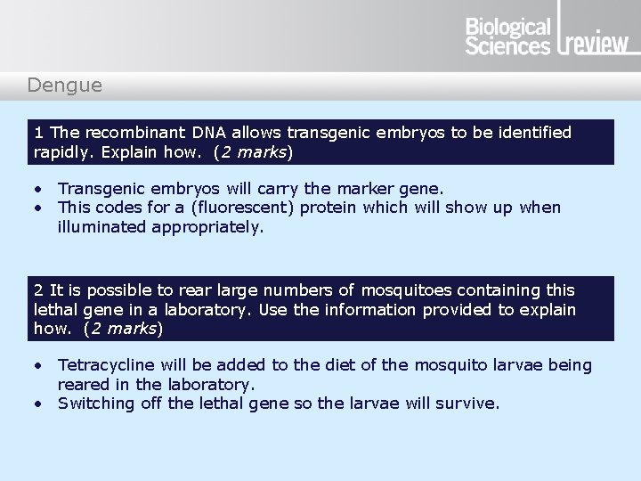 Dengue 1 The recombinant DNA allows transgenic embryos to be identified rapidly. Explain how.