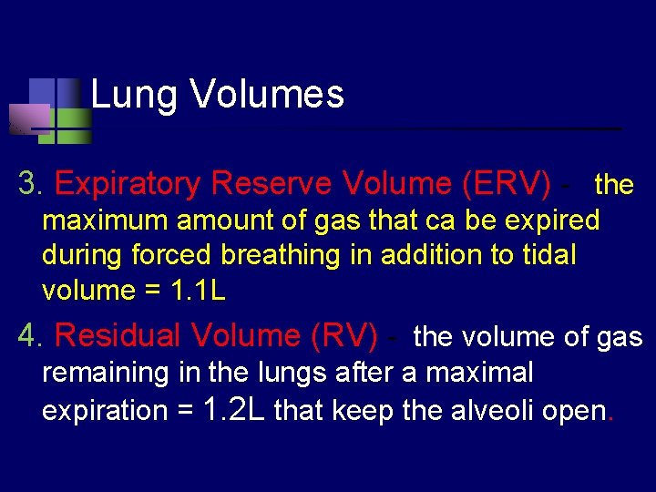 Lung Volumes 3. Expiratory Reserve Volume (ERV) - the maximum amount of gas that