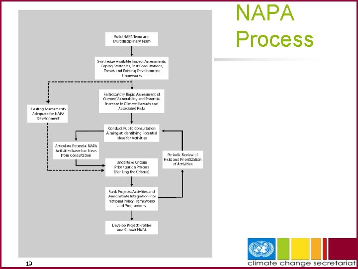 NAPA Process 19 
