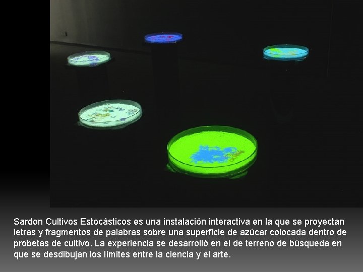 Sardon Cultivos Estocásticos es una instalación interactiva en la que se proyectan letras y