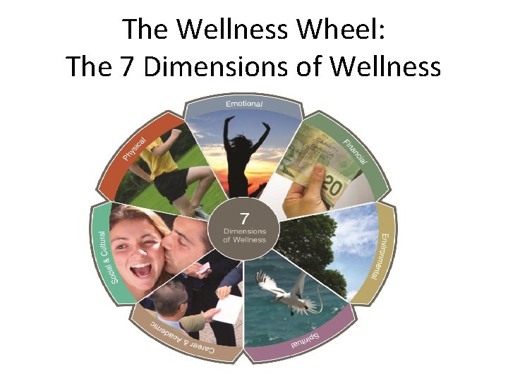 The Wellness Wheel: The 7 Dimensions of Wellness 