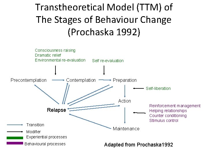 Transtheoretical Model (TTM) of The Stages of Behaviour Change (Prochaska 1992) Consciousness raising Dramatic
