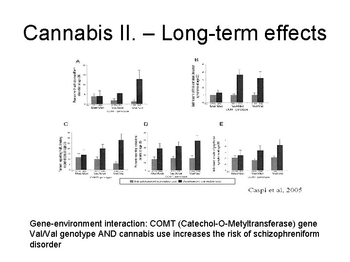 Cannabis II. – Long-term effects Gene-environment interaction: COMT (Catechol-O-Metyltransferase) gene Val/Val genotype AND cannabis