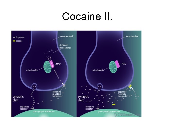 Cocaine II. 