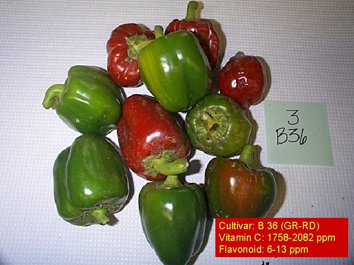 Cultivar: B 36 (GR-RD) Vitamin C: 1758 -2082 ppm Flavonoid: 6 -13 ppm 