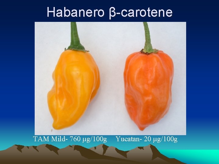 Habanero β-carotene TAM Mild- 760 µg/100 g Yucatan- 20 µg/100 g 