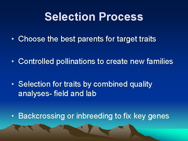 Selection Process • Choose the best parents for target traits • Controlled pollinations to