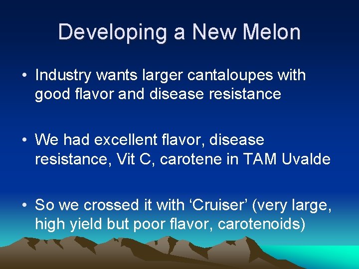 Developing a New Melon • Industry wants larger cantaloupes with good flavor and disease