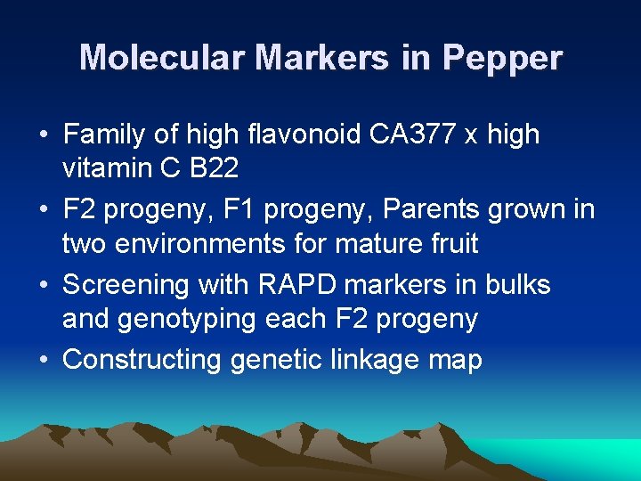 Molecular Markers in Pepper • Family of high flavonoid CA 377 x high vitamin