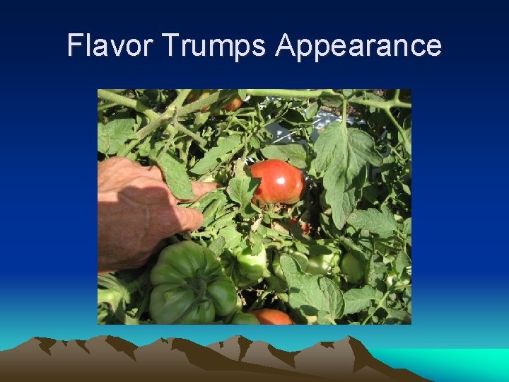 Flavor Trumps Appearance 