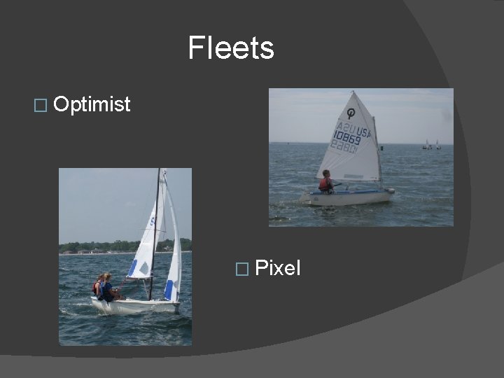 Fleets � Optimist � Pixel 