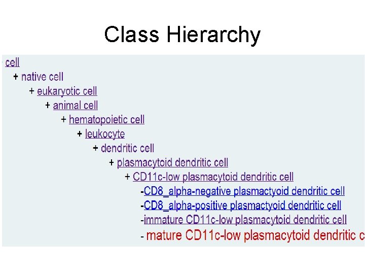 Class Hierarchy 