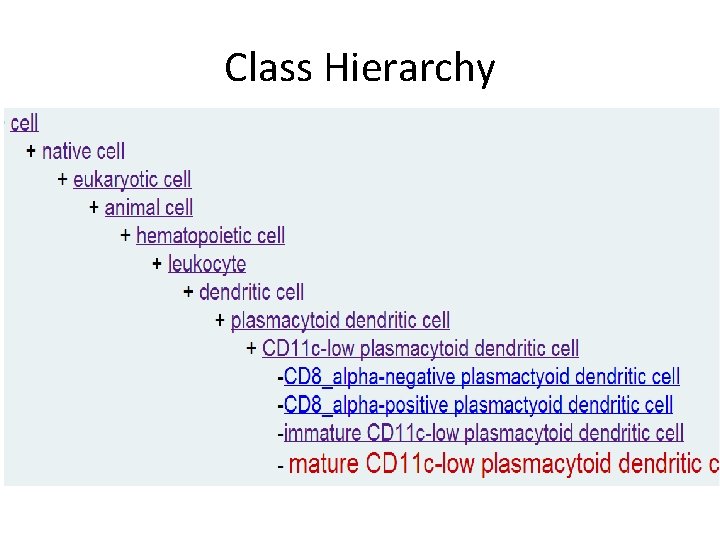 Class Hierarchy 