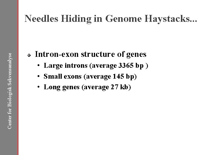 Center for Biologisk Sekvensanalyse Needles Hiding in Genome Haystacks. . . Intron-exon structure of