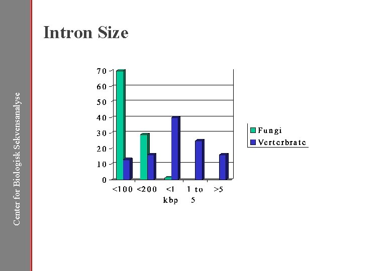 Center for Biologisk Sekvensanalyse Intron Size 