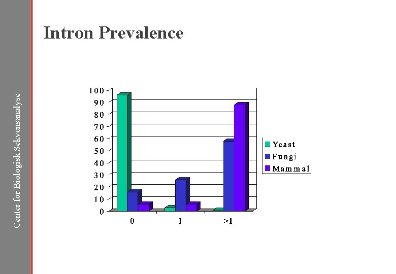 Center for Biologisk Sekvensanalyse Intron Prevalence 