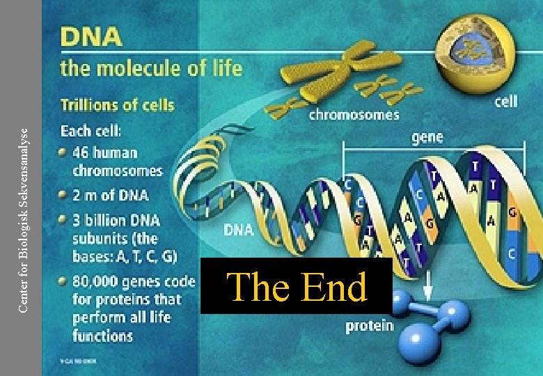 Center for Biologisk Sekvensanalyse The End 