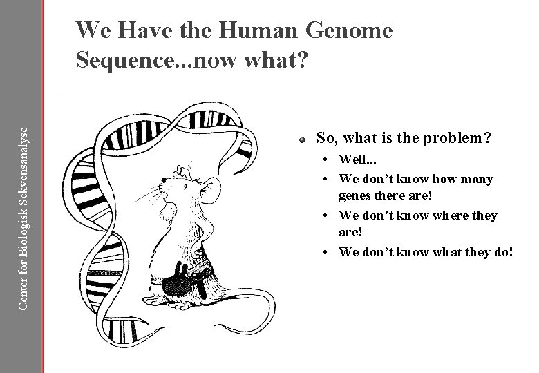 Center for Biologisk Sekvensanalyse We Have the Human Genome Sequence. . . now what?