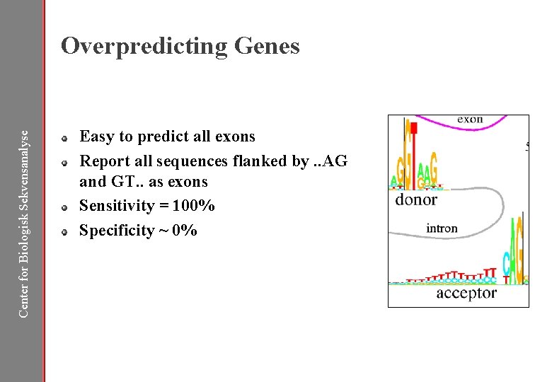 Center for Biologisk Sekvensanalyse Overpredicting Genes Easy to predict all exons Report all sequences