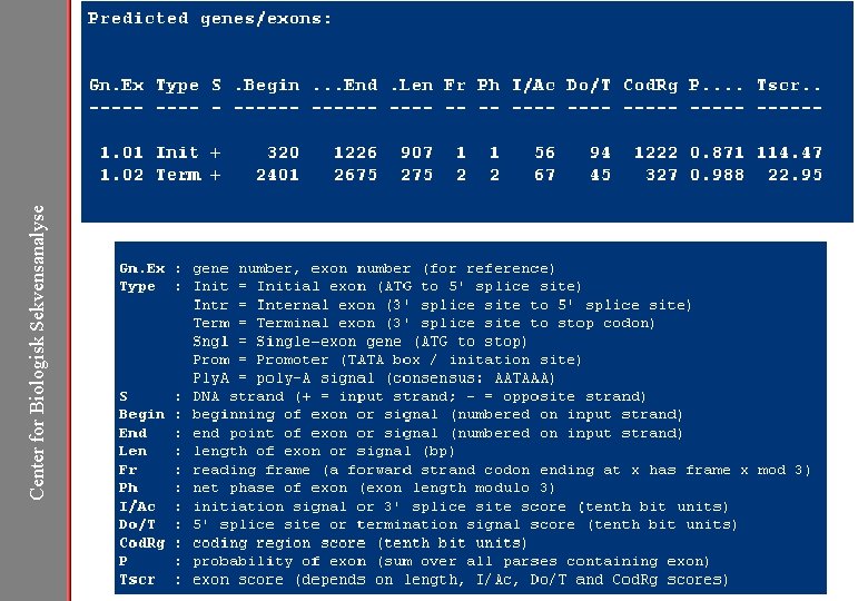 Center for Biologisk Sekvensanalyse Genscan http: //genes. mit. edu/GENSCAN. html 