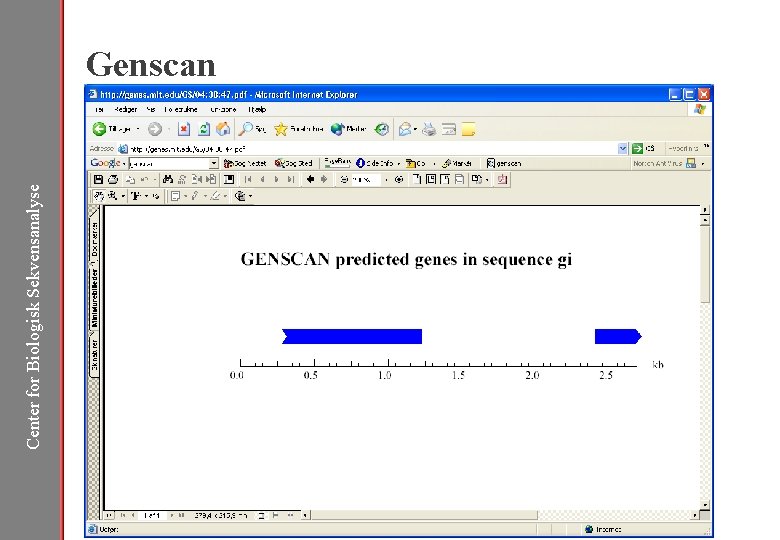Center for Biologisk Sekvensanalyse Genscan 