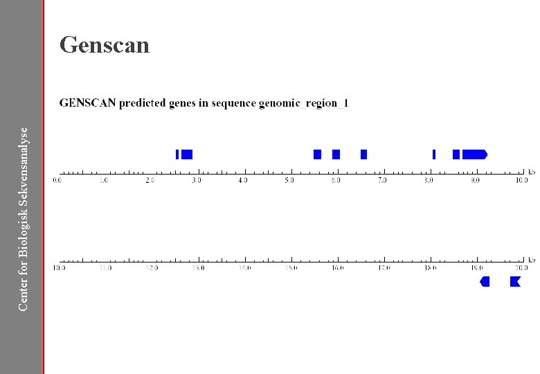 Center for Biologisk Sekvensanalyse Genscan 