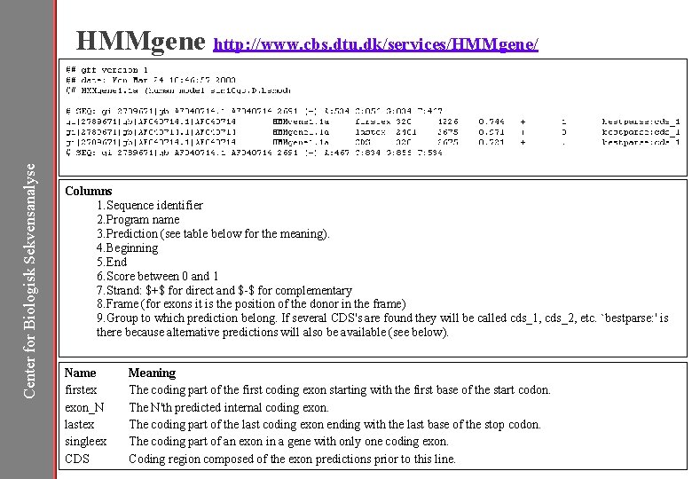 Center for Biologisk Sekvensanalyse HMMgene http: //www. cbs. dtu. dk/services/HMMgene/ Columns 1. Sequence identifier