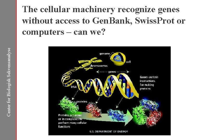 Center for Biologisk Sekvensanalyse The cellular machinery recognize genes without access to Gen. Bank,