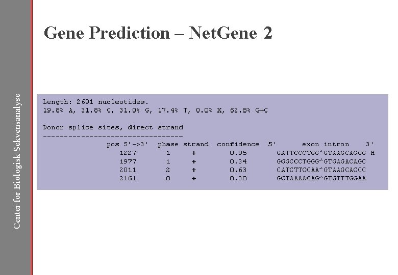 Center for Biologisk Sekvensanalyse Gene Prediction – Net. Gene 2 