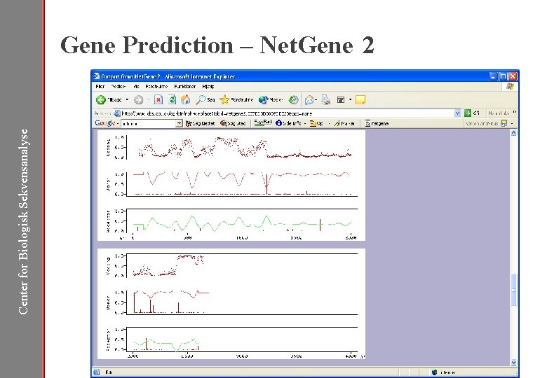 Center for Biologisk Sekvensanalyse Gene Prediction – Net. Gene 2 