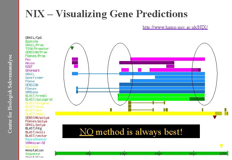 NIX – Visualizing Gene Predictions Center for Biologisk Sekvensanalyse http: //www. hgmp. mrc. ac.