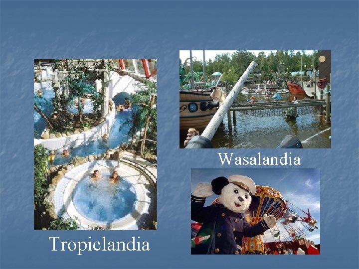 Wasalandia Tropiclandia 