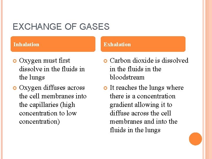 EXCHANGE OF GASES Inhalation Exhalation Oxygen must first dissolve in the fluids in the