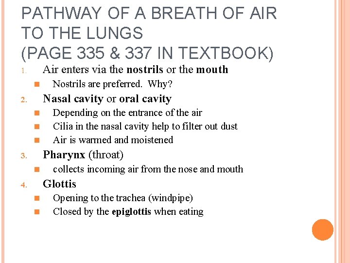 PATHWAY OF A BREATH OF AIR TO THE LUNGS (PAGE 335 & 337 IN