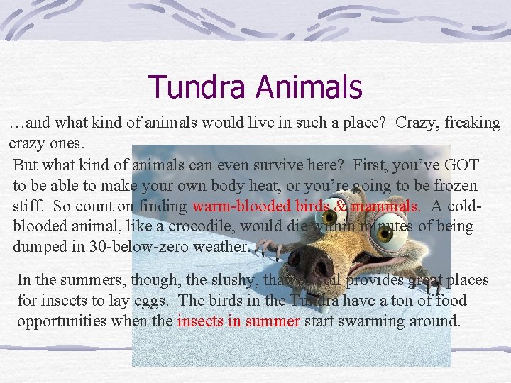 Tundra Animals …and what kind of animals would live in such a place? Crazy,