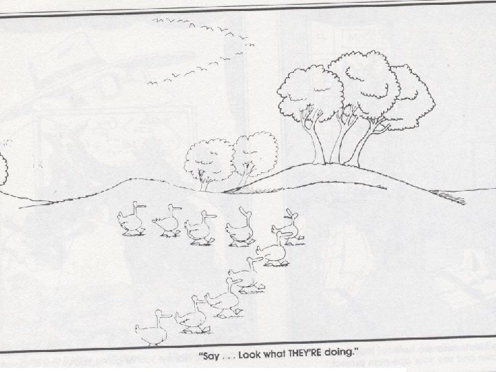 Animals in the Coniferous Forest Life here for animals is almost as hard as