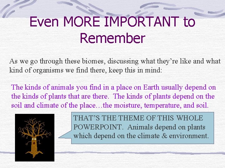 Even MORE IMPORTANT to Remember As we go through these biomes, discussing what they’re